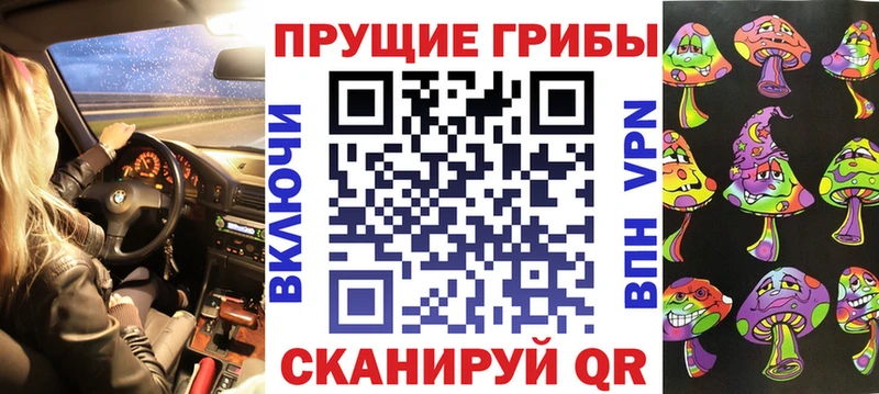 мега как войти  Кунгур  Галлюциногенные грибы Magic Shrooms 