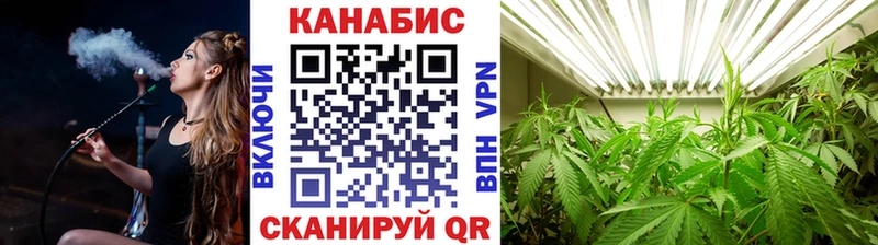 Шишки марихуана OG Kush Кунгур